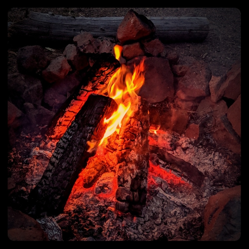 Meet your Posher, Kailee